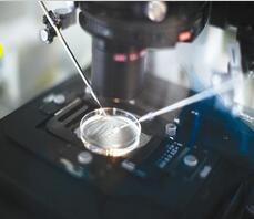 ���ݴ���